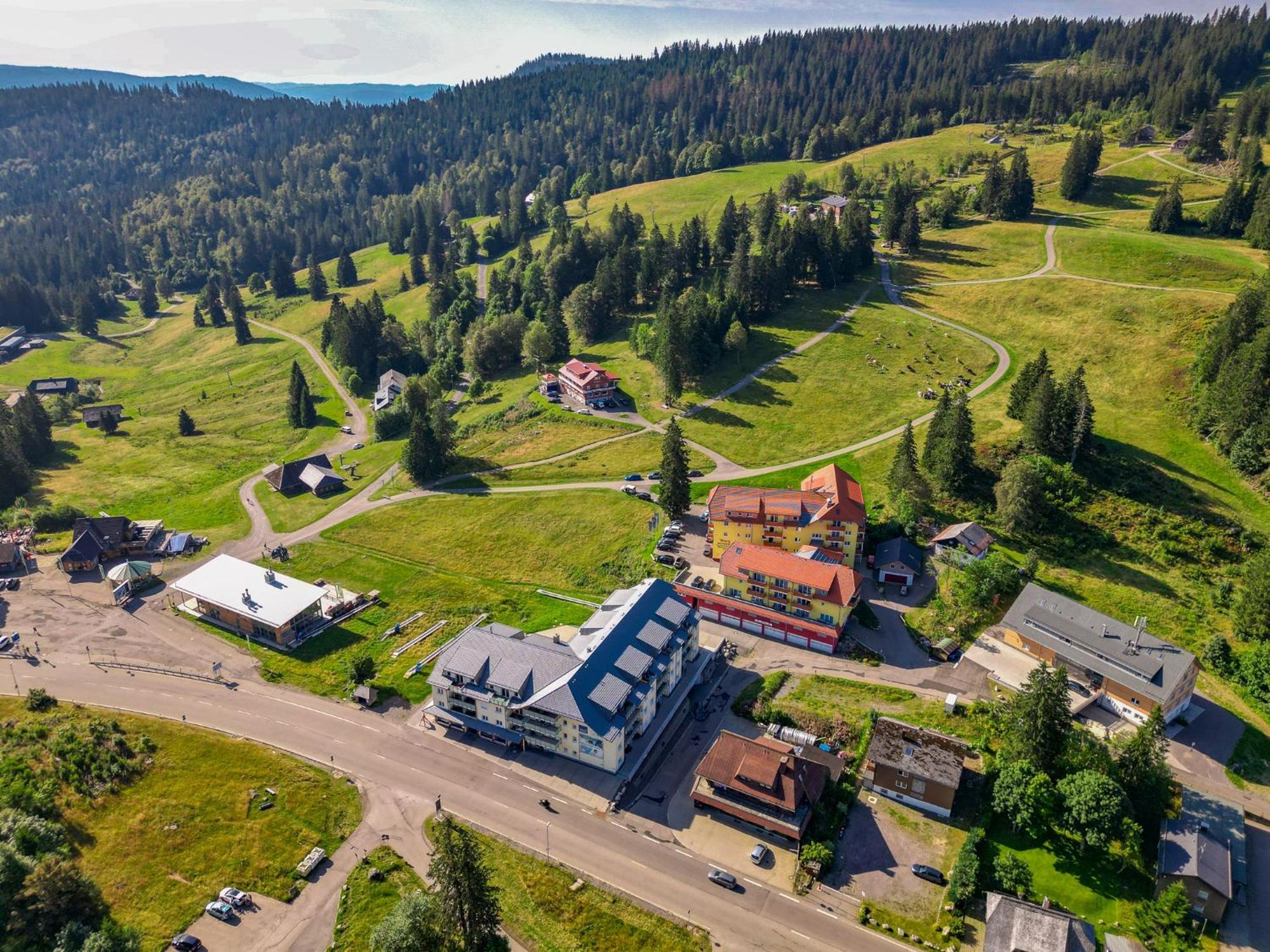 Feldberg Domizil - Residenz Grafenmatt Apartment Rinken Ngoại thất bức ảnh